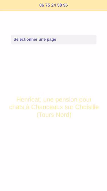 Screenshot of henri.cat