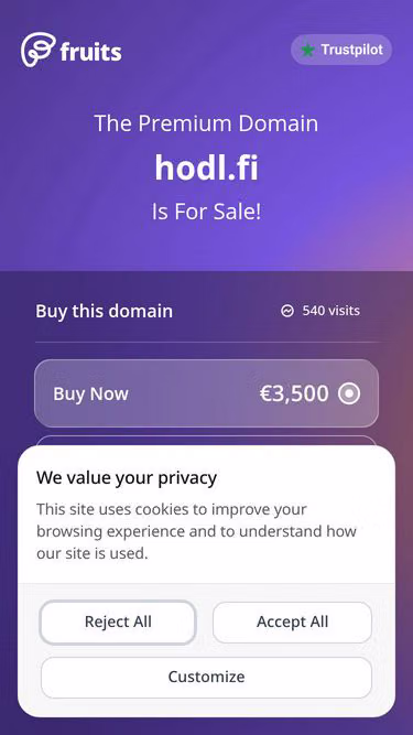 Screenshot of hodl.fi