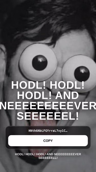 Screenshot of hodl.website