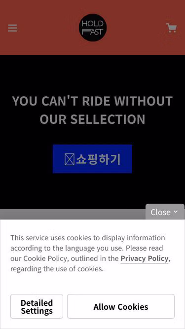 Screenshot of holdfast.co.kr