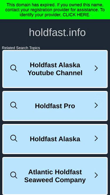 Screenshot of holdfast.info