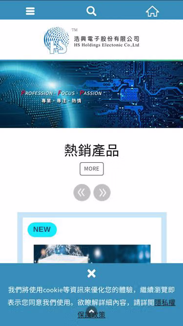 Screenshot of holdings.com.tw