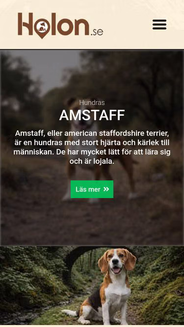 Screenshot of holon.se