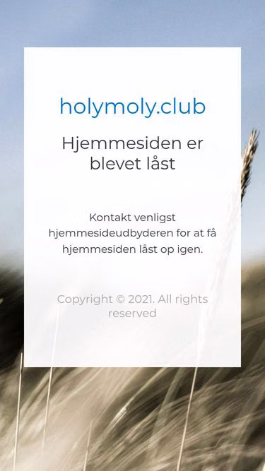 Screenshot of holymoly.club