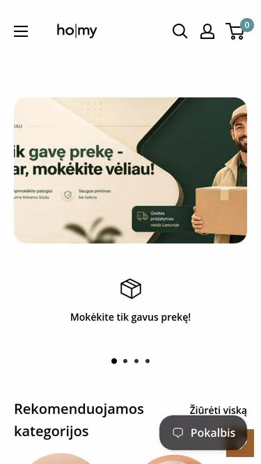 Screenshot of homy.lt