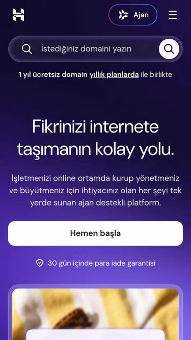 Screenshot of hostinger.tr