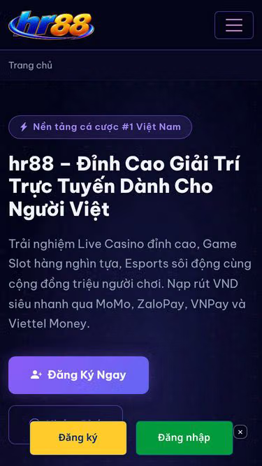 Screenshot of hr88.live