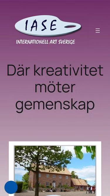 Screenshot of iase.se