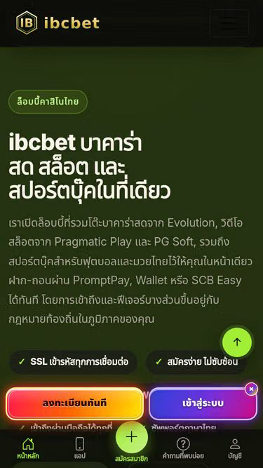Screenshot of ibcbet.xyz
