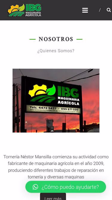 Screenshot of ibg.com.uy