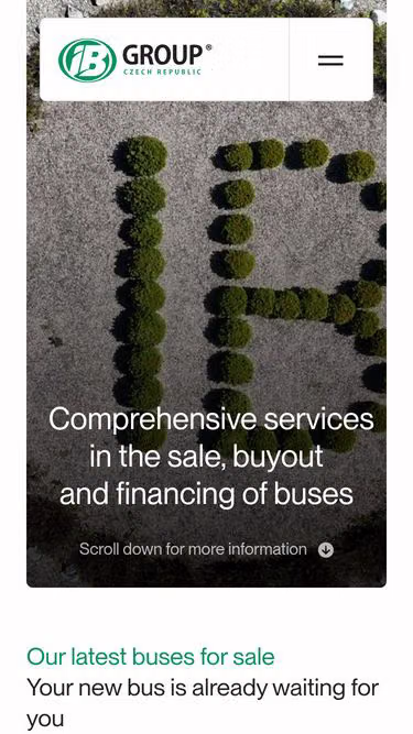Screenshot of ibgroup.eu