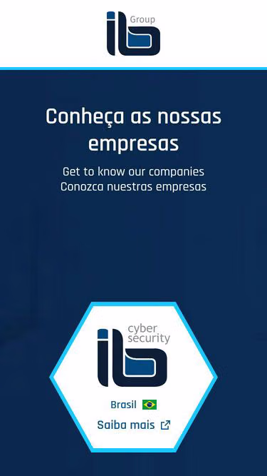 Screenshot of ibgroup.net