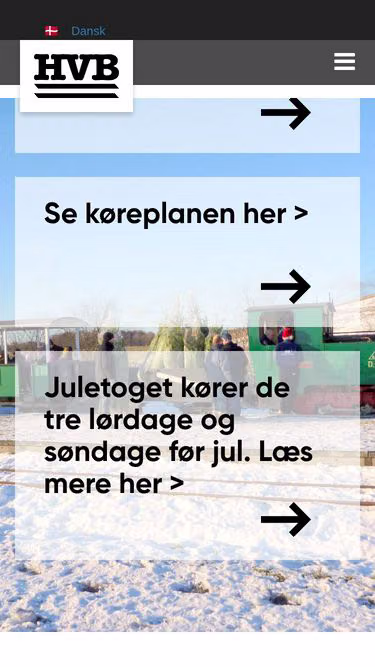 Screenshot of ibk.dk