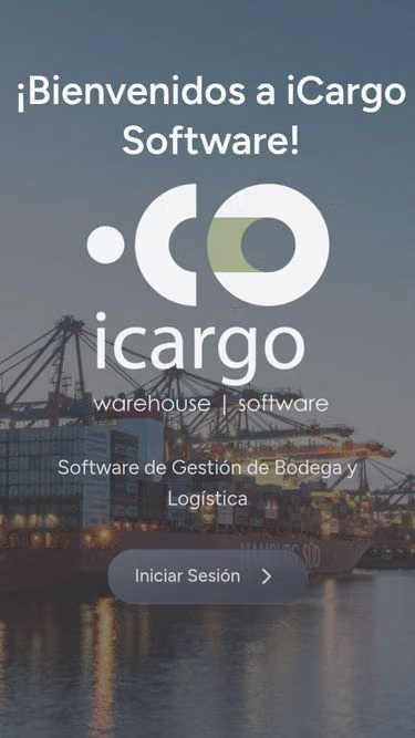 Screenshot of icargo.services