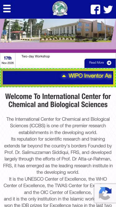 Screenshot of iccs.edu