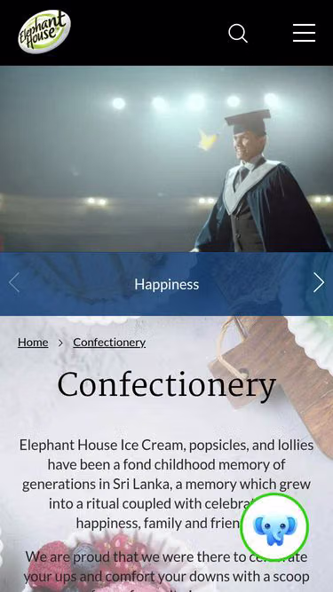 Screenshot of ice-cream.lk