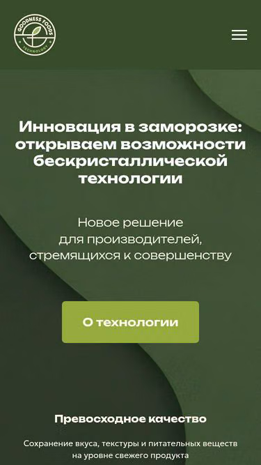 Screenshot of icetech.group
