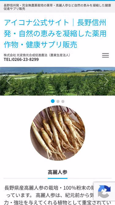 Screenshot of icona.co.jp