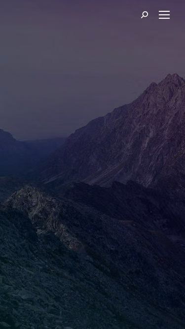 Screenshot of icongroup.eu
