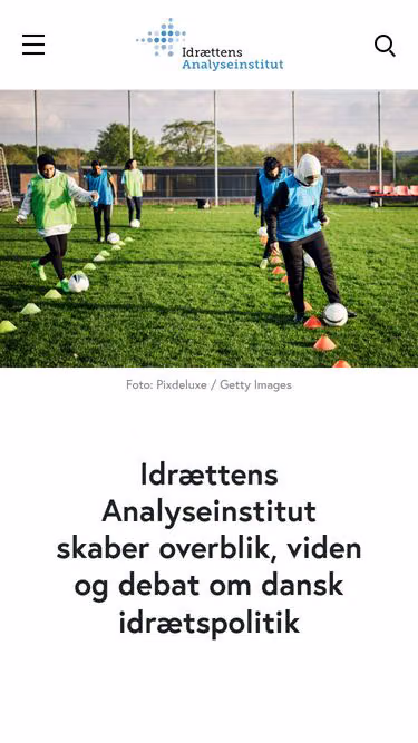 Screenshot of idan.dk