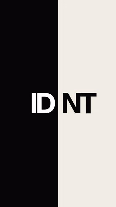 Screenshot of idnt.ro