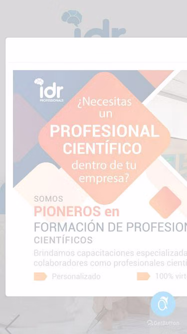 Screenshot of idr.com.pe