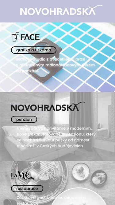 Screenshot of iface.cz