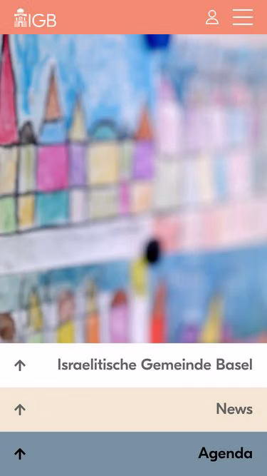 Screenshot of igb.ch