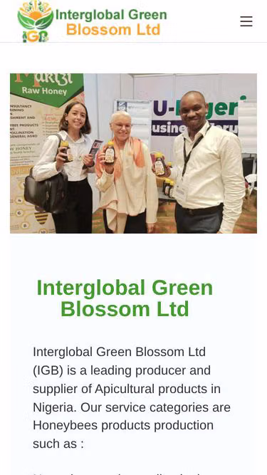 Screenshot of igb.com.ng