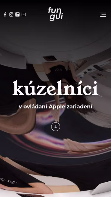 Screenshot of igenius.sk