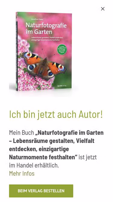 Screenshot of igreen.de