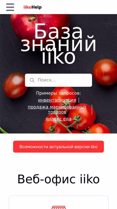 Screenshot of iiko.help