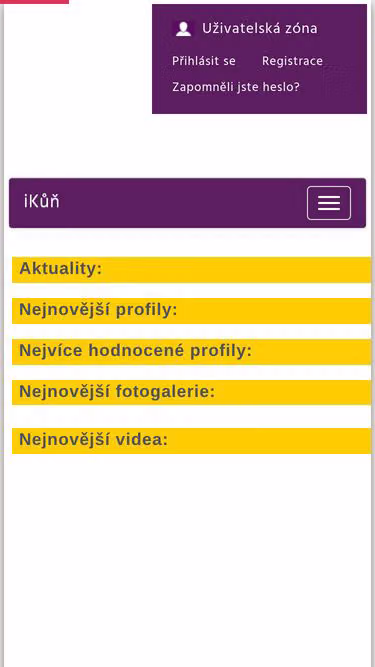 Screenshot of ikun.cz
