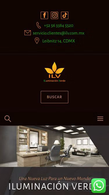 Screenshot of ilv.com.mx