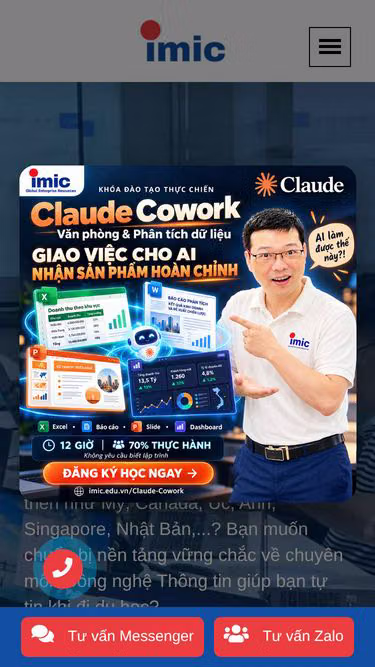 Screenshot of imic.edu.vn