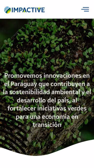 Screenshot of impactive.com.py