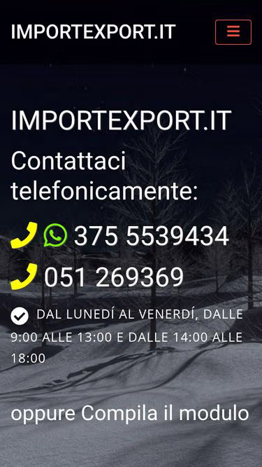 Screenshot of importexport.it