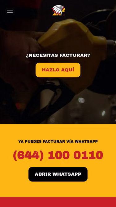 Screenshot of indian.mx