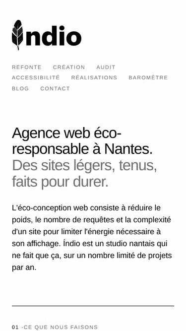 Screenshot of indio.fr