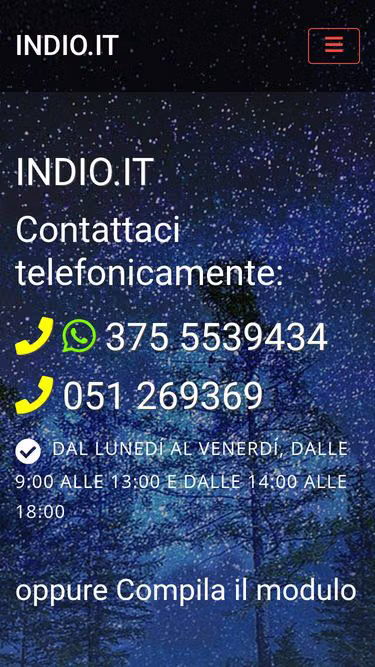Screenshot of indio.it