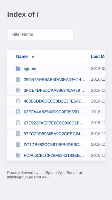 Screenshot of infinitygroup.ae