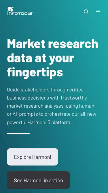 Screenshot of infotools.us