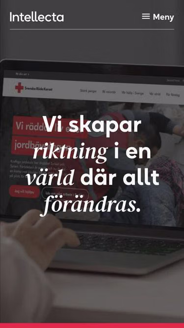Screenshot of intellecta.se