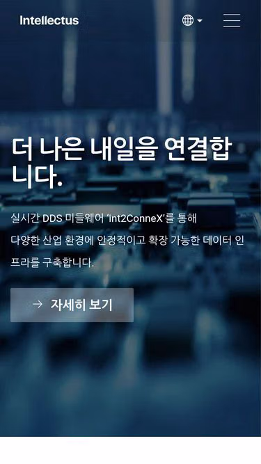 Screenshot of intellectus.co.kr