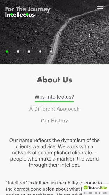 Screenshot of intellectus.partners