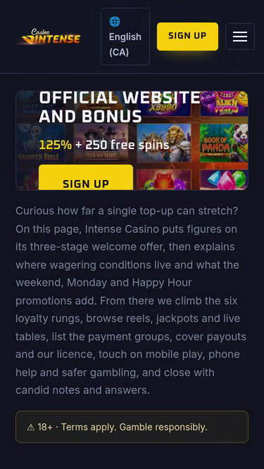 Screenshot of intensecasino.website