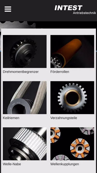 Screenshot of intest.de