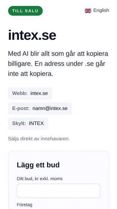 Screenshot of intex.se