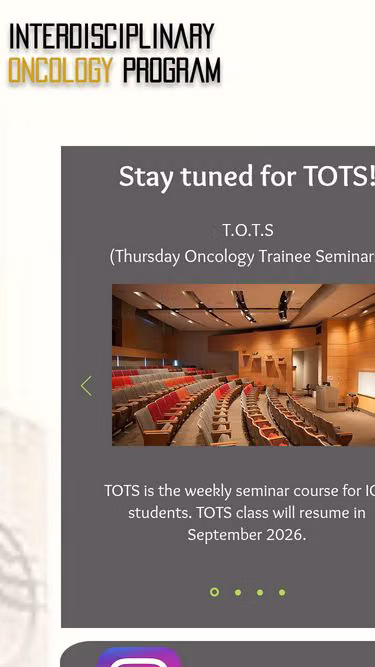 Screenshot of iop.ca