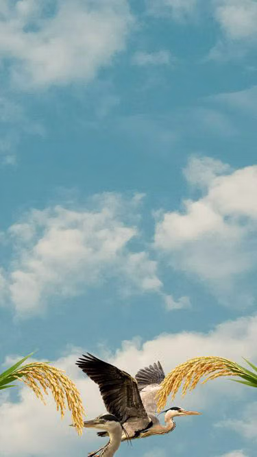 Screenshot of ires.online